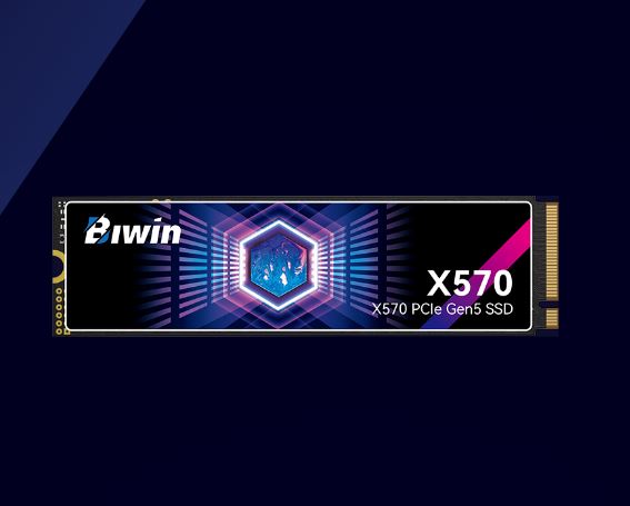 BIWIN BX570NN01TB-RGX Black Opal X570 SSD PCIe Gen5×4, NVMe 2 2280up to 14000MB