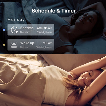 TP-Link Tapo L530E Smart Wi-Fi Light Bulb, Edison Fitting, Multicolour (B22 / E27), No Hub Required, Voice Control, Schedule & Timer, 60W