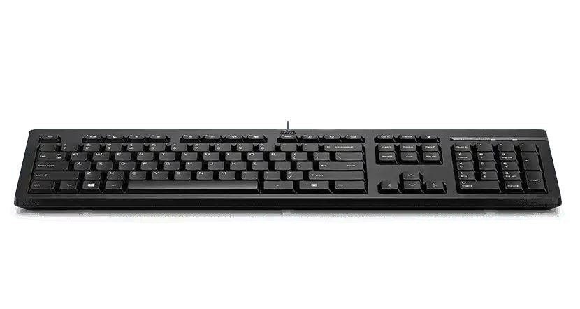 HP 125 Wired Keyboard - Compatible with Windows 10, Desktop PC, Laptop, Laptop U