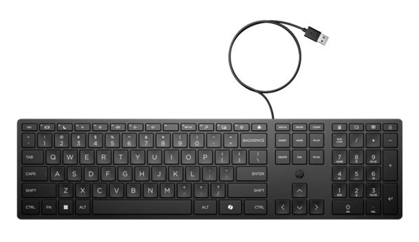 HP Wired 320K Full-Sized Keyboard - Compatible with Windows 10, Desktop PC, Laptop, Notebook USB Plug and Play Connectivity, Easy Cleaning 1YR WTY