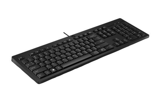 HP 125 Wired Keyboard - Compatible with Windows 10, Desktop PC, Laptop, Laptop U image 0
