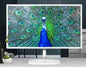 AOC 31.5' IPS Panel 4ms 2K QHD 2560x1440, HDMI, DP, 75Hz, 3-sided Narrow Frame, image 0