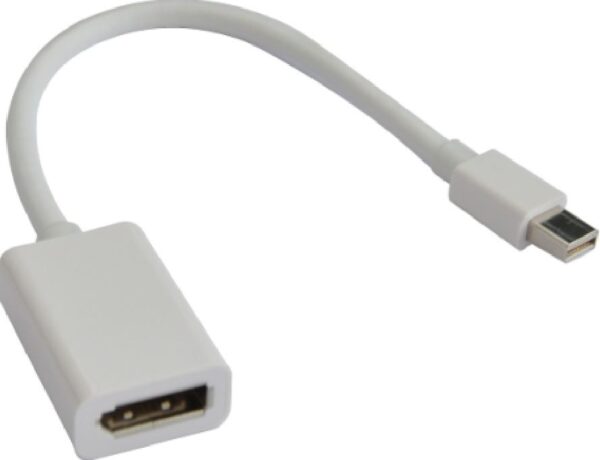 Astrotek Mini DisplayPort DP to DisplayPort DP Adapter Converter - 20 pins Male